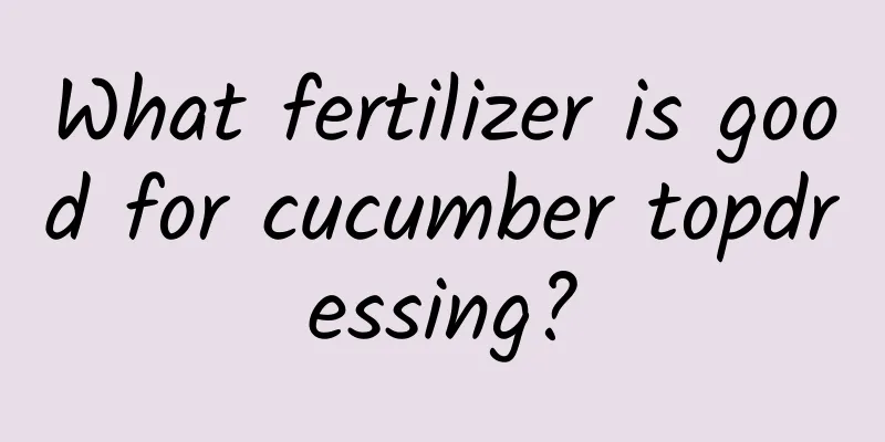 What fertilizer is good for cucumber topdressing?