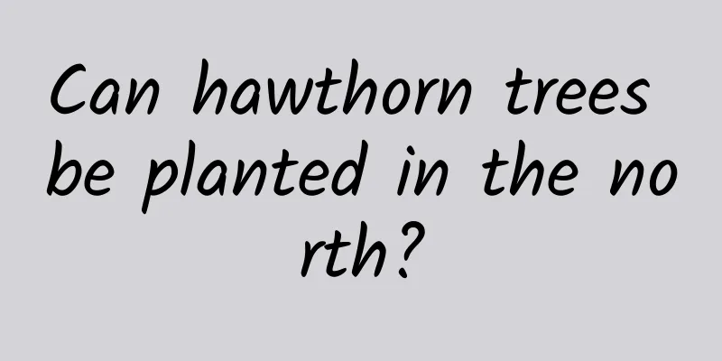 Can hawthorn trees be planted in the north?