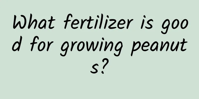 What fertilizer is good for growing peanuts?