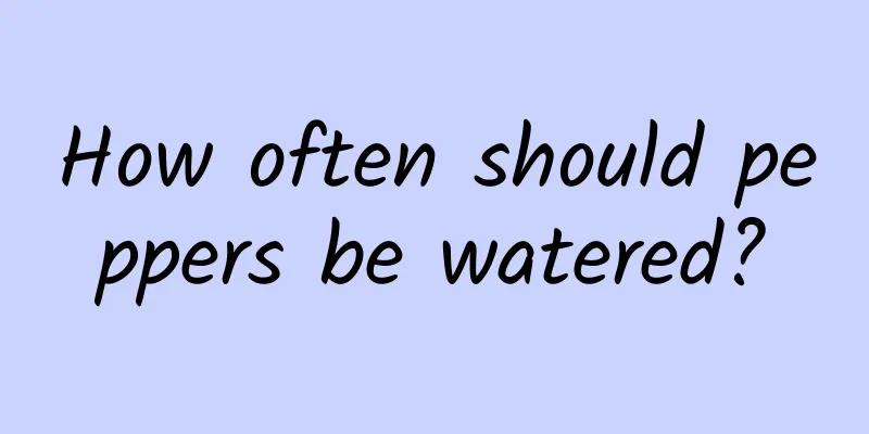 How often should peppers be watered?