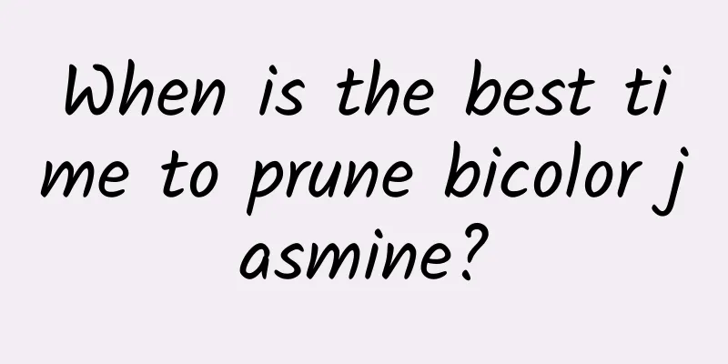 When is the best time to prune bicolor jasmine?