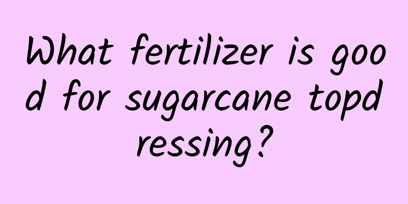 What fertilizer is good for sugarcane topdressing?