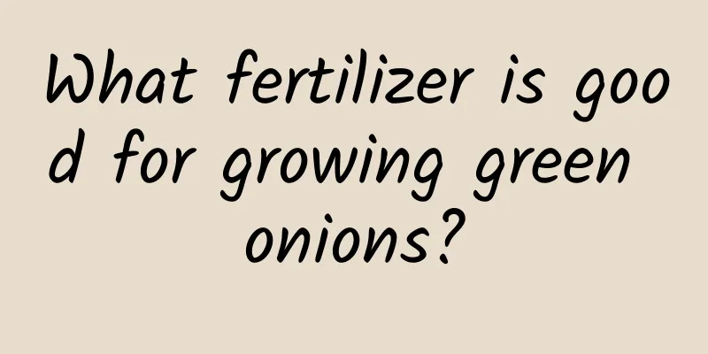 What fertilizer is good for growing green onions?