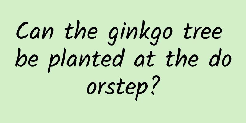 Can the ginkgo tree be planted at the doorstep?