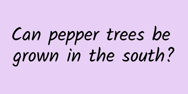 Can pepper trees be grown in the south?