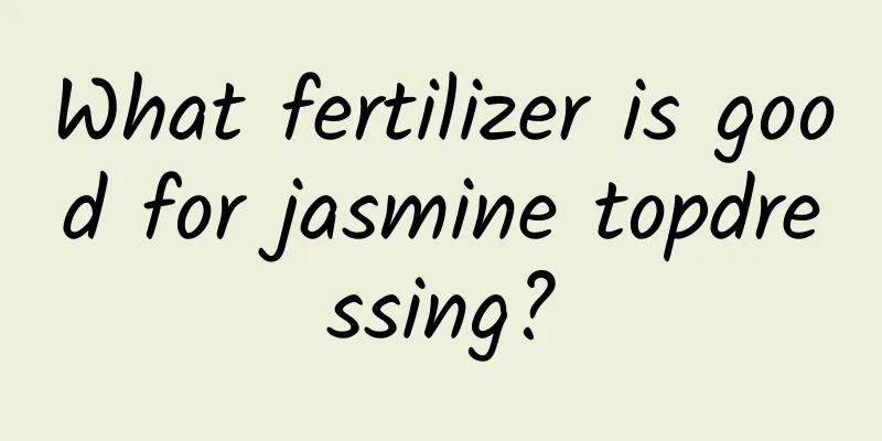 What fertilizer is good for jasmine topdressing?