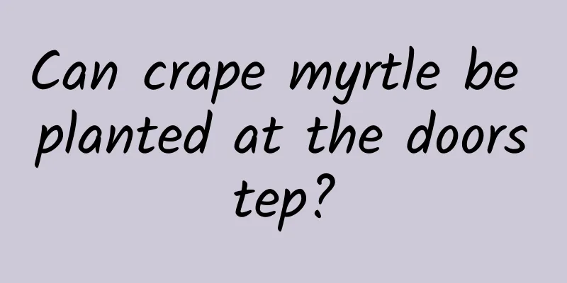 Can crape myrtle be planted at the doorstep?
