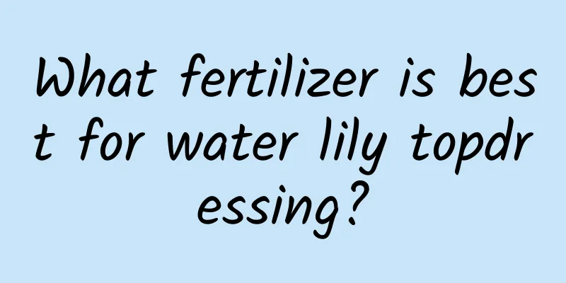 What fertilizer is best for water lily topdressing?