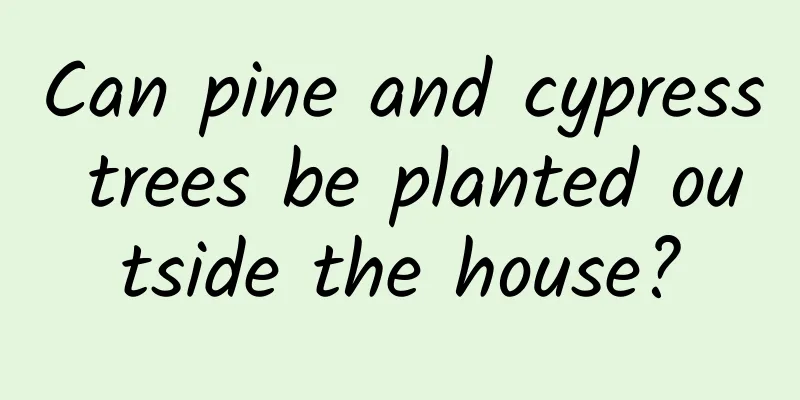 Can pine and cypress trees be planted outside the house?
