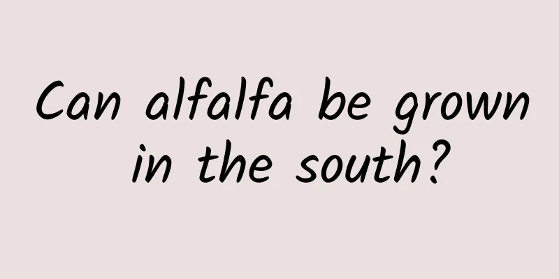 Can alfalfa be grown in the south?