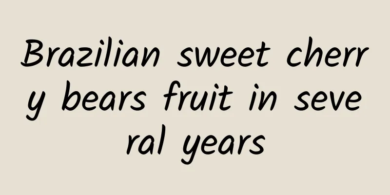 Brazilian sweet cherry bears fruit in several years