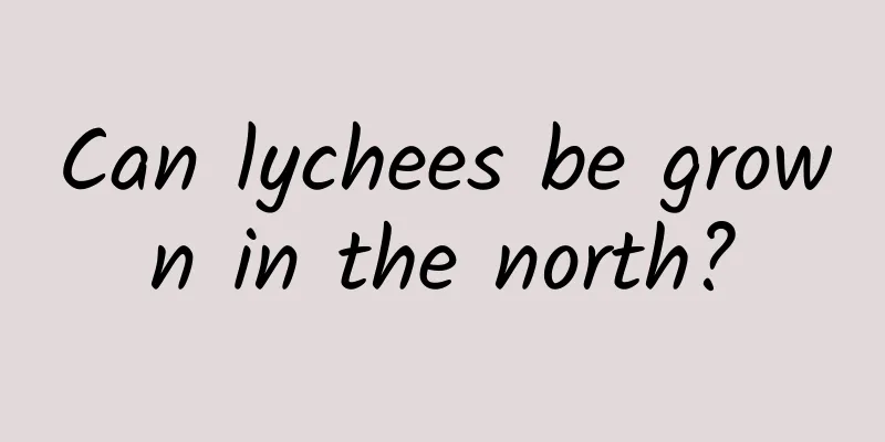 Can lychees be grown in the north?