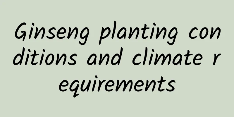 Ginseng planting conditions and climate requirements