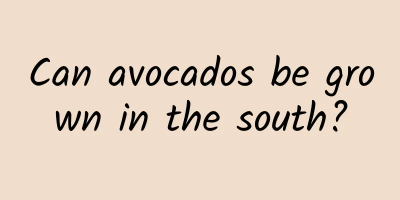 Can avocados be grown in the south?