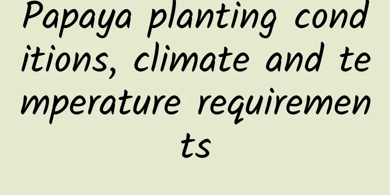 Papaya planting conditions, climate and temperature requirements