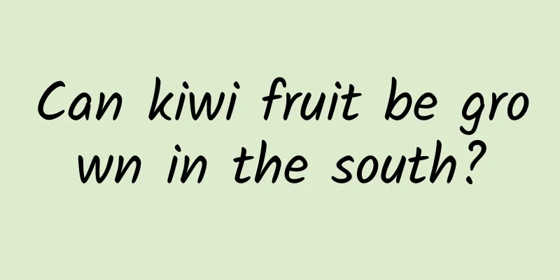 Can kiwi fruit be grown in the south?