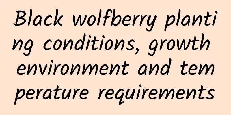 Black wolfberry planting conditions, growth environment and temperature requirements