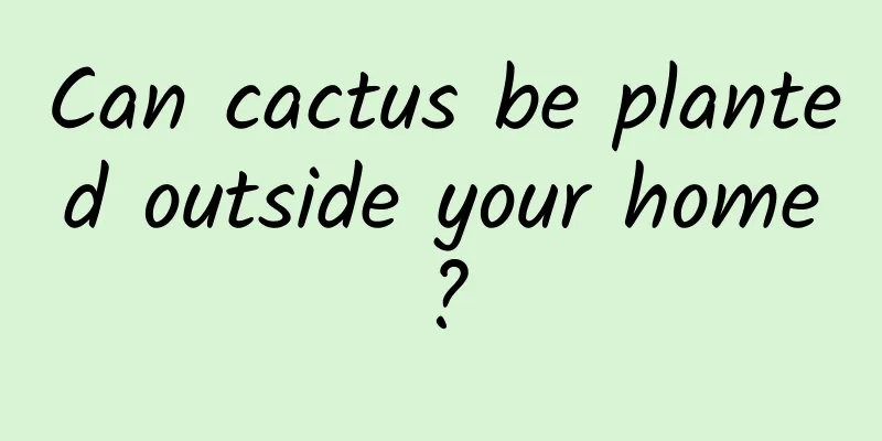 Can cactus be planted outside your home?