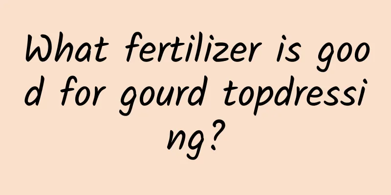What fertilizer is good for gourd topdressing?
