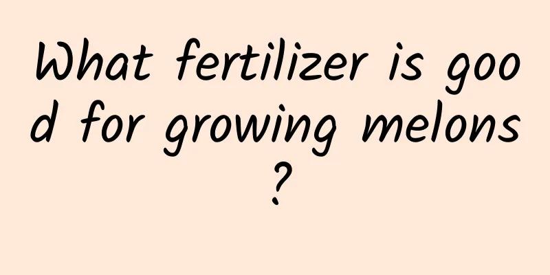 What fertilizer is good for growing melons?