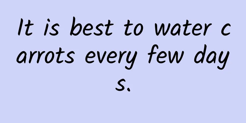 It is best to water carrots every few days.
