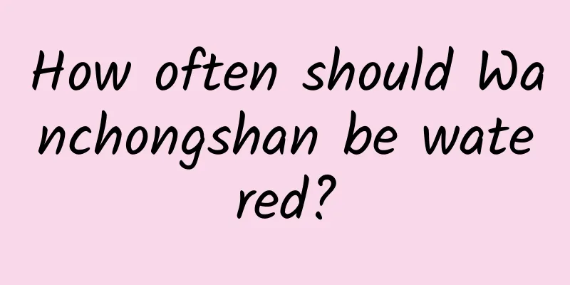 How often should Wanchongshan be watered?