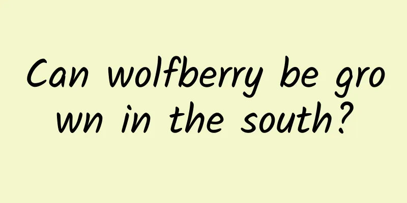 Can wolfberry be grown in the south?