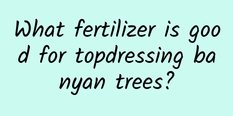 What fertilizer is good for topdressing banyan trees?