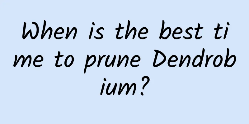 When is the best time to prune Dendrobium?