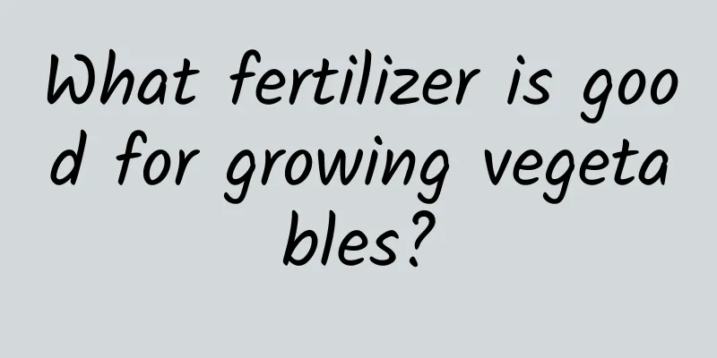 What fertilizer is good for growing vegetables?