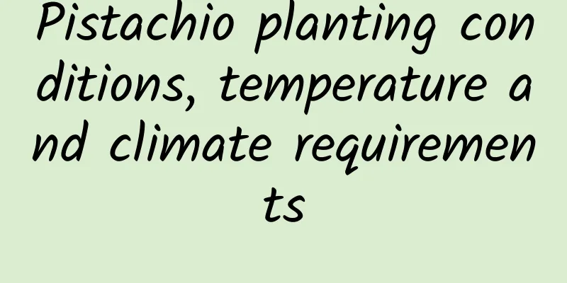 Pistachio planting conditions, temperature and climate requirements