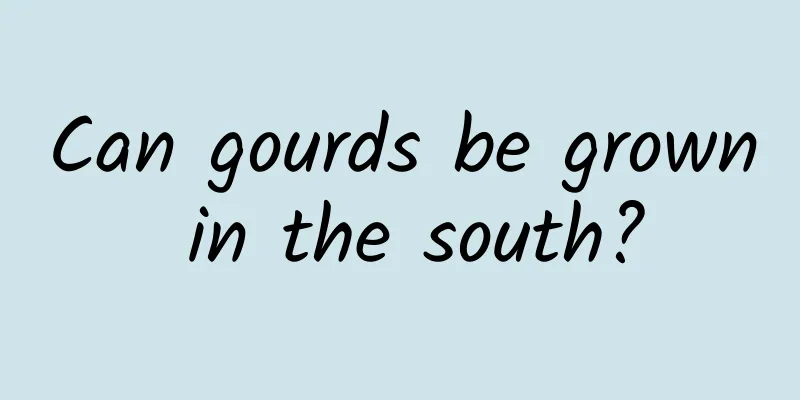 Can gourds be grown in the south?