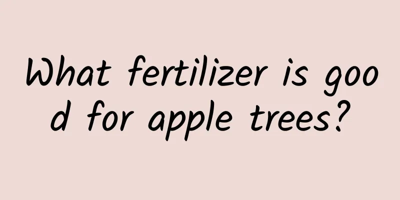 What fertilizer is good for apple trees?
