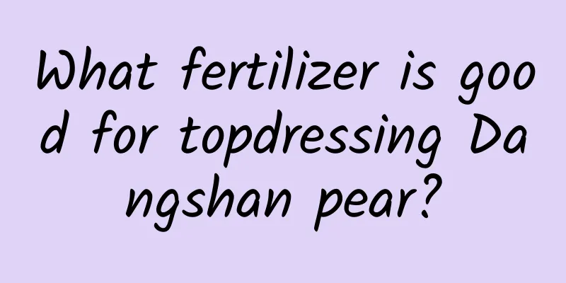 What fertilizer is good for topdressing Dangshan pear?