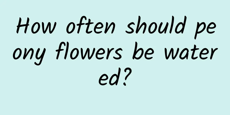 How often should peony flowers be watered?