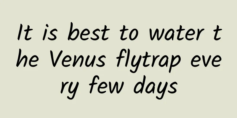 It is best to water the Venus flytrap every few days