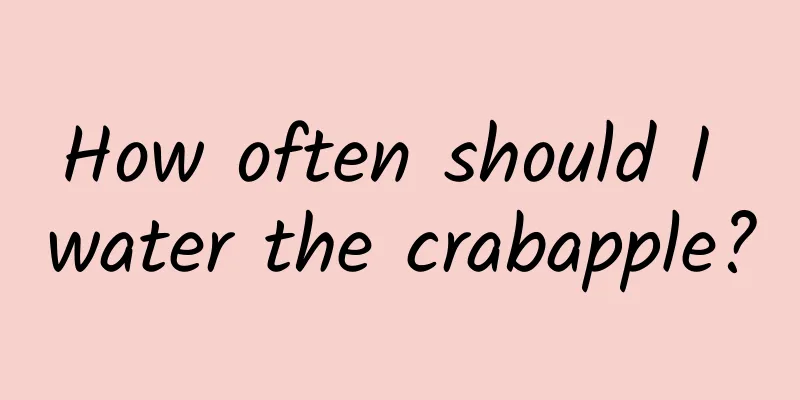 How often should I water the crabapple?