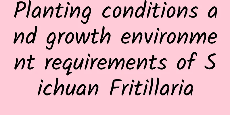 Planting conditions and growth environment requirements of Sichuan Fritillaria