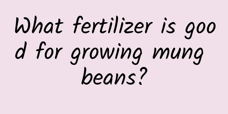 What fertilizer is good for growing mung beans?