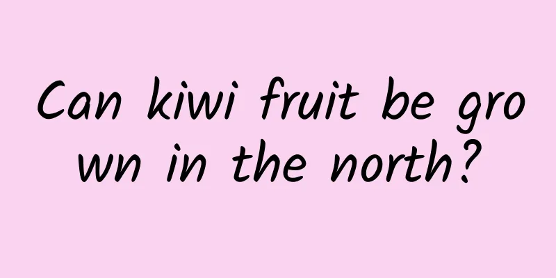 Can kiwi fruit be grown in the north?