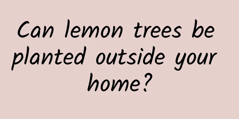 Can lemon trees be planted outside your home?