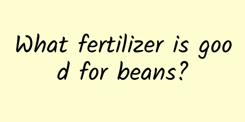 What fertilizer is good for beans?