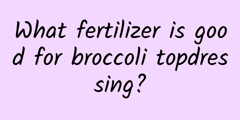 What fertilizer is good for broccoli topdressing?