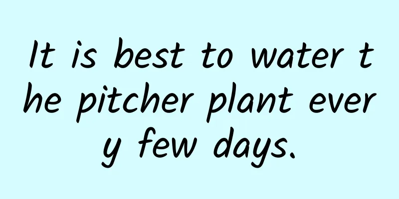 It is best to water the pitcher plant every few days.