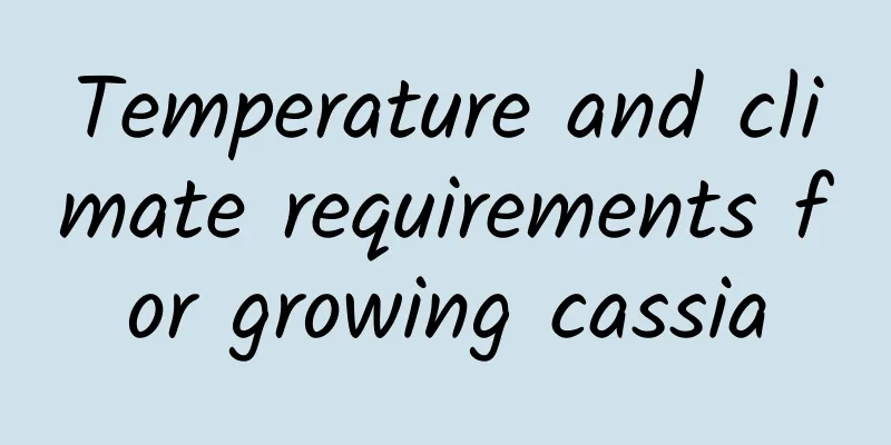 Temperature and climate requirements for growing cassia