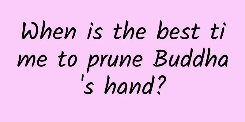 When is the best time to prune Buddha's hand?