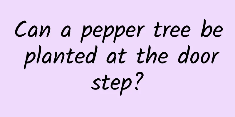 Can a pepper tree be planted at the doorstep?
