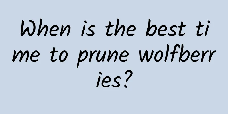 When is the best time to prune wolfberries?