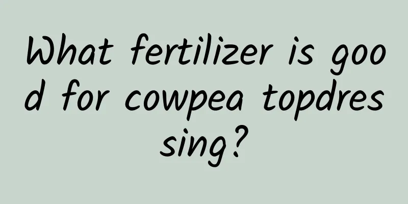 What fertilizer is good for cowpea topdressing?