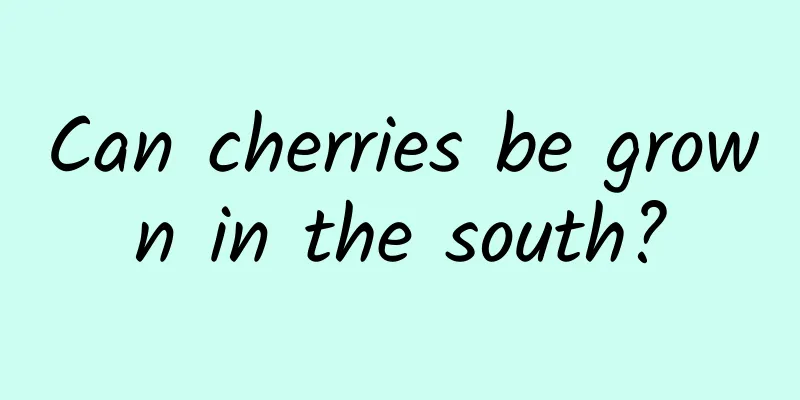 Can cherries be grown in the south?